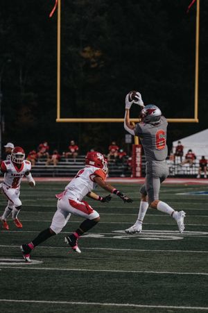 Image post by @kailahcassidy on Twitter