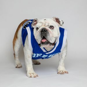 Image post by @drakewbb on Instagram
