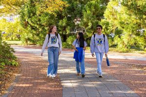 Image post by @udelaware on Instagram