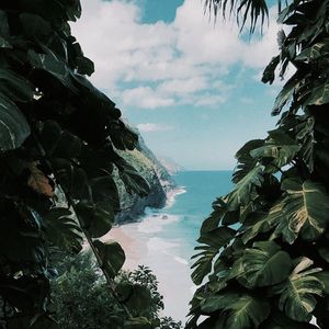 Image post by @kaikinibikinis on Instagram