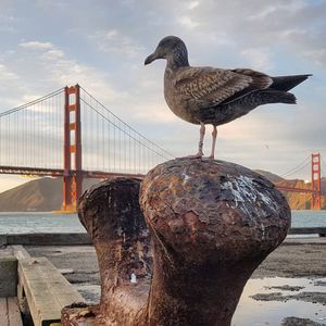 Image post by @mmhammond on Instagram