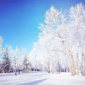 Image post by @cityofcalgary on Instagram