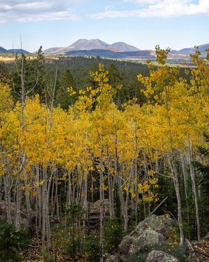 Image post by @nauflagstaff on Instagram