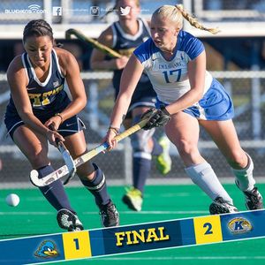 Image post by @udbluehens on Instagram