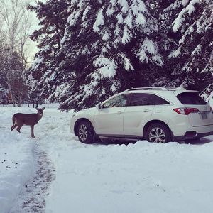 Image post by @acura on Instagram