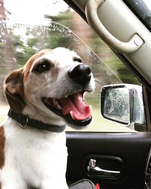 Image post by @snaffle_it on Instagram