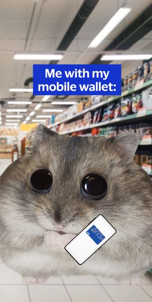 Image post by @visa on TikTok