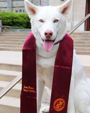 Image post by @virginia.tech on Instagram