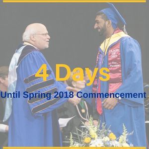 Image post by @hofstrau on Instagram