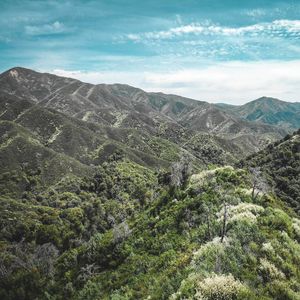 Image post by @_matthewcletus on Instagram