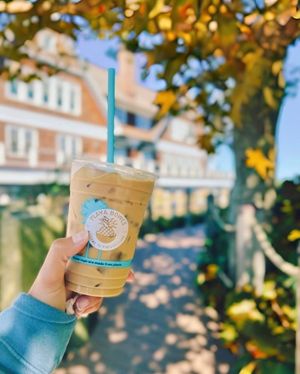 Image post by @playabowls on Instagram