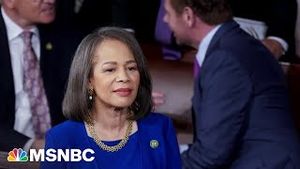 Video post by @msnbc on YouTube