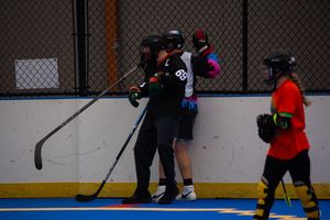 Image post by @toyotasportsplexdekhockey on Instagram