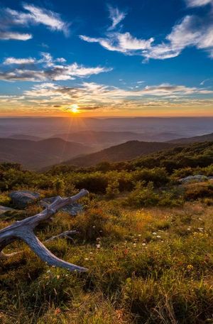 Image post by @NatlParkService on Twitter