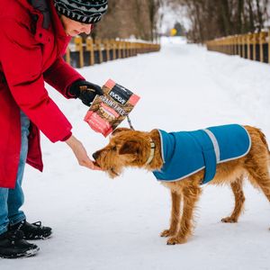 Image post by @evolvepetfood on Instagram