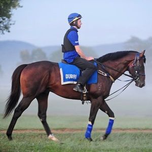 Image post by @australianturfclub on Instagram