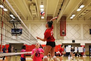 Image post by @portlandvball on Instagram