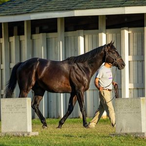 Image post by @spendthriftfarm on Instagram