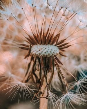 Image post by @moment on Instagram