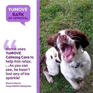 Image post by @yumove_usa on Instagram