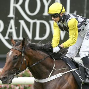 Image post by @australianturfclub on Instagram