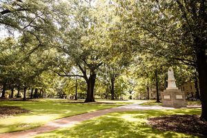 Image post by @uofscstudents on Instagram