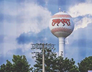 Image post by @carolinamudcats on Instagram
