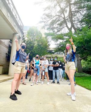 Image post by @hofstrau on Instagram