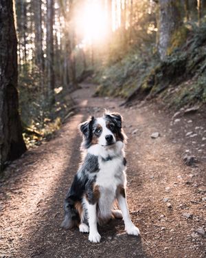 Image post by @sonyalpha on Instagram