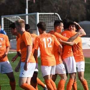 Image post by @fpusunbirds on Instagram
