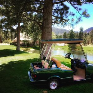 Image post by @barracudachampionship on Instagram
