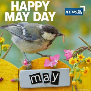 Image post by @kens5 on Instagram