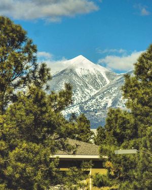 Image post by @nauflagstaff on Instagram