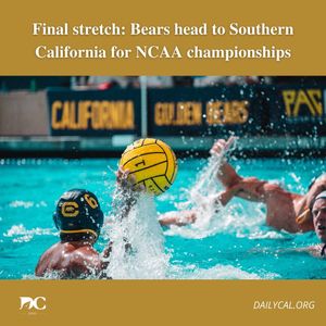 Image post by @dailycalsports on Instagram