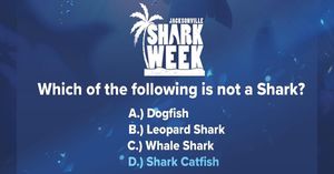 Image post by @jaxsharks on Instagram