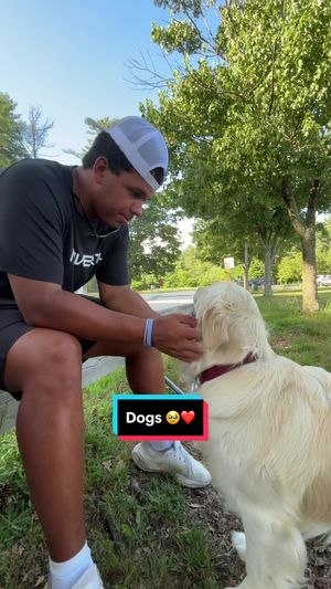 Video post by @maveriklacrosse on TikTok