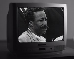 Image post by @wavelengthprods on Instagram