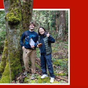 Image post by @seattleu on Instagram