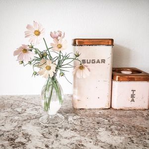 Image post by @thebloombartx on Instagram