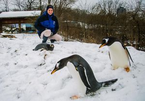 Image post by @pittsburghpg on Instagram