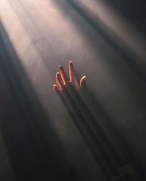Image post by @fubiz on Instagram
