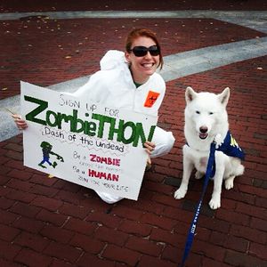 Image post by @huskython on Instagram