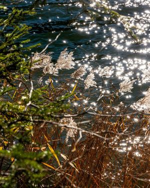 Image post by @cristan.nature.photography on Instagram