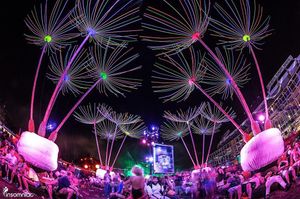 Image post by @edc_orlando on Instagram