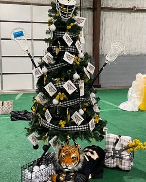 Image post by @towson_mlax on Instagram