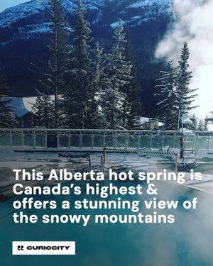 Image post by @curiocitycalgary on Instagram
