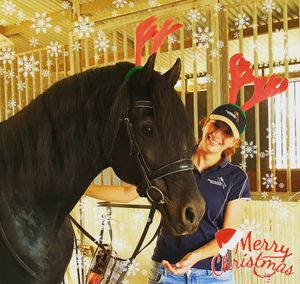 Image post by @performancesaddlefitssthsydney on Instagram