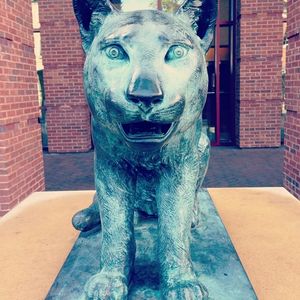 Image post by @collegeofcharleston on Instagram