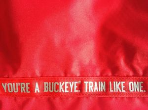 Image post by @ohiostatewgymnastics on Instagram