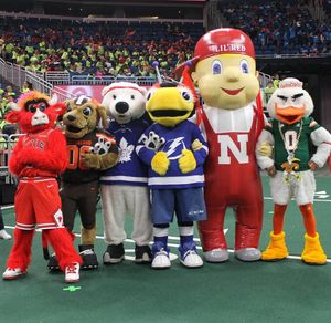 Image post by @carltonthebear on Twitter